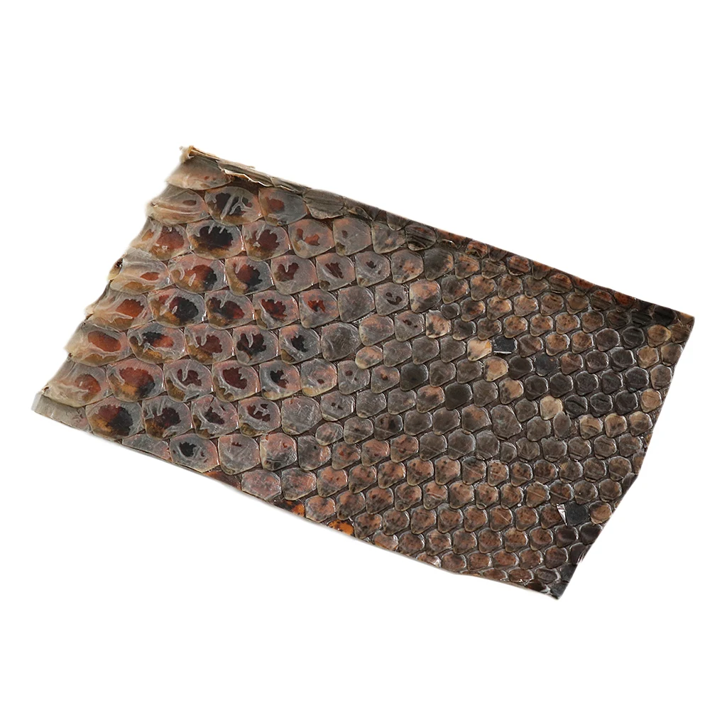 Durable Erhu Side Skin Snakeskin for Erhu-player DIY Accessory |
