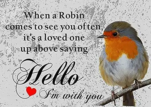 

Kalynvi New Tin Sign Robin Bird Wildlife Loved One Style Metal Sign Aluminum Metal Sign for Wall Decor 8X12 Inch