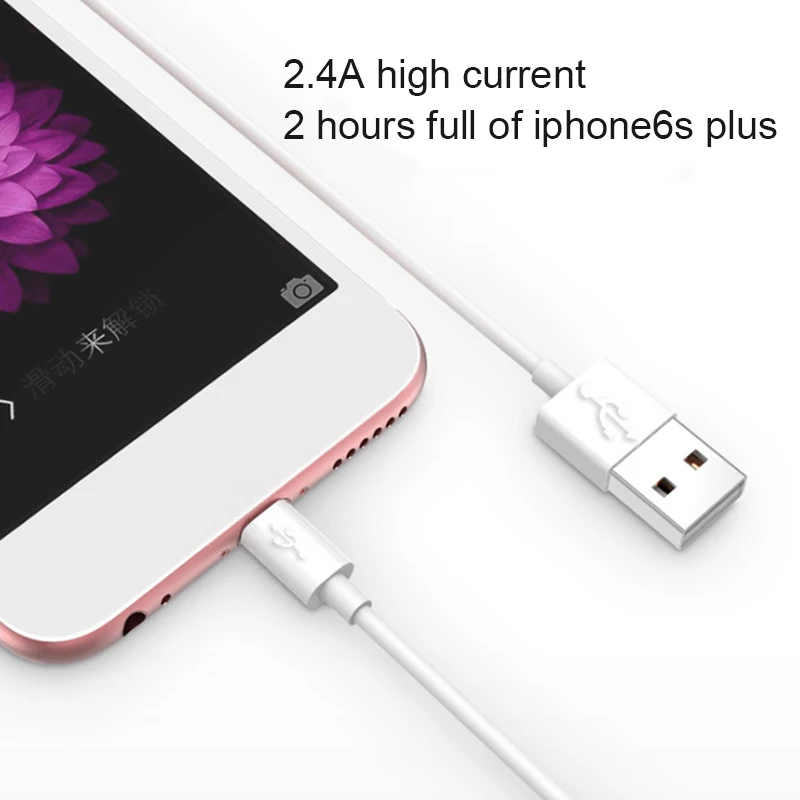 ! ACCEZZ USB кабель для передачи данных iPhone 12 11 XS MAX XR 8 7 6 быстрой зарядки и ipad мини 2.4A