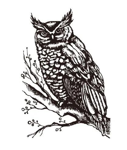 Прозрачные прозрачные штампы с животными для скрапбукинга сделай