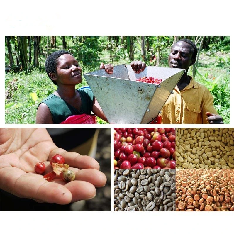 Машинка для обработки кофе ручная машинка очистки кофейных зерен машина