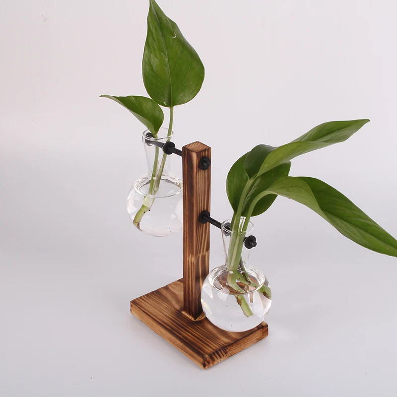 Гидропонная фотография Terrarium винтажный цветочный горшок прозрачная ваза