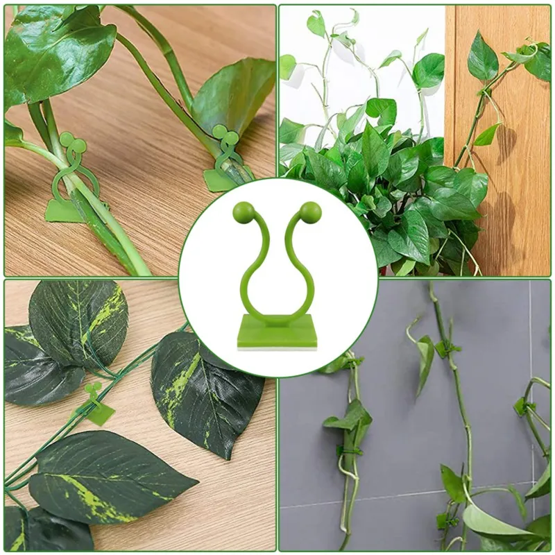 

50 Pcs Invisible Wall Vines Fixing Clips Plant Climbing Holder Fixer Self-Adhesive Wall Sticky Hook Plant Binding Clip