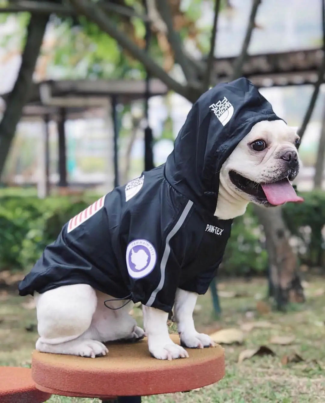 Одежда для собак Adidog Французский бульдог Pupreme рубашка собака Ветровка Спорт ретро для собак Толстовка с капюшоном Домашние животные одежда S-XXXL