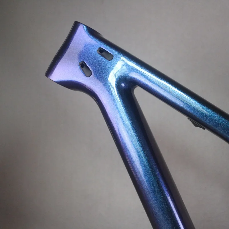 2020 новейший 29er пользовательский Хамелеон краска дисковый тормоз BSA полный рама