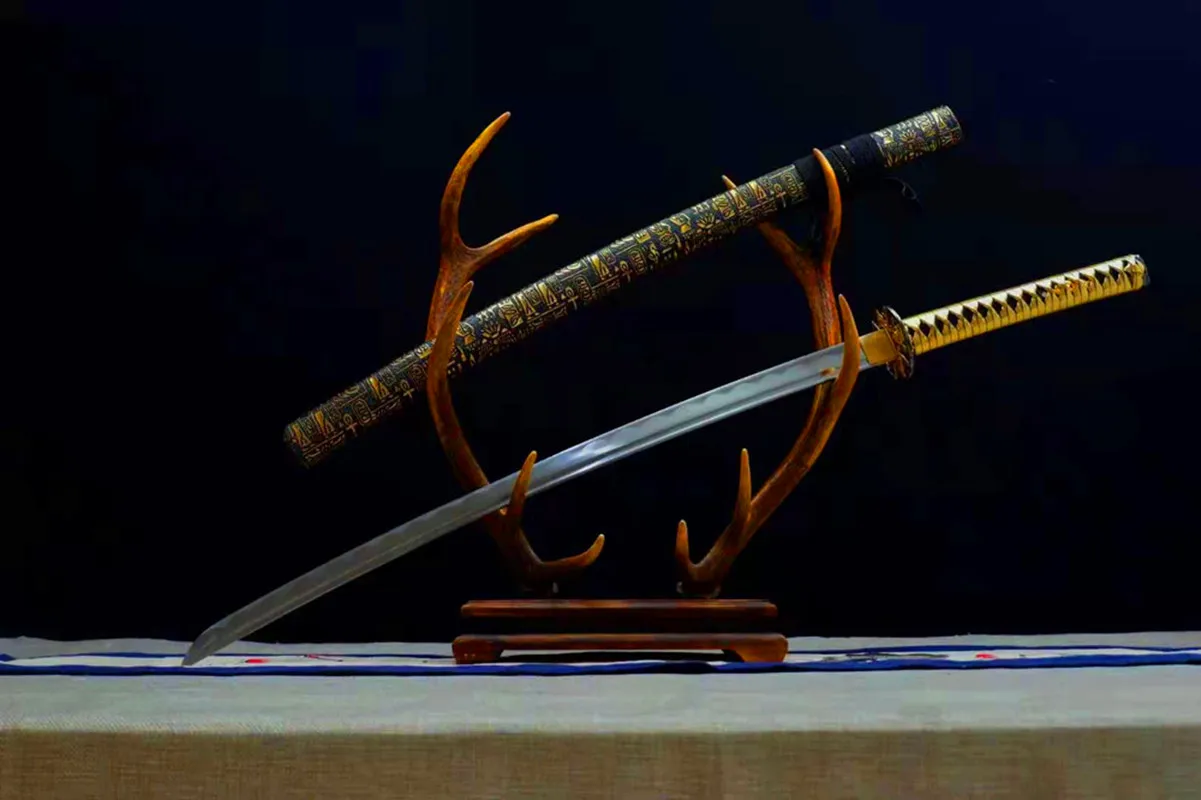 

Fitness & Body Building