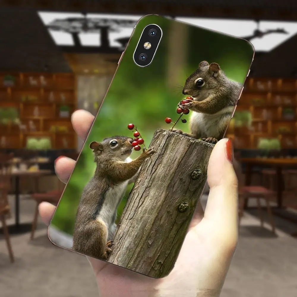 Белка морская свинка мышь арахис искусственная кожа для Galaxy J1 J2 J3 J330 J4 J5 J6 J7 J730 J8 2015