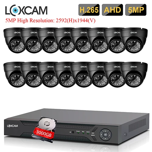 16CH DVR x 16 Camera LOXCAM H.265+ 5MP Ultra HD 16CH 5MP DVR комплект CCTV система безопасности Открытый 5MP EXIR камера ночного видения комплект видеонаблюдения P2P - Цвет: 16CH DVR x 16 Camera