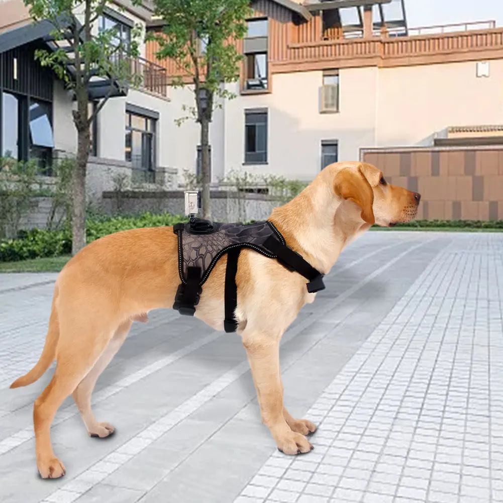 

Fetch Dog Mount Harness Chest Strap Mount For Hero 8 7 6 5 Black/for Black/5 4 Session Camera Accessories