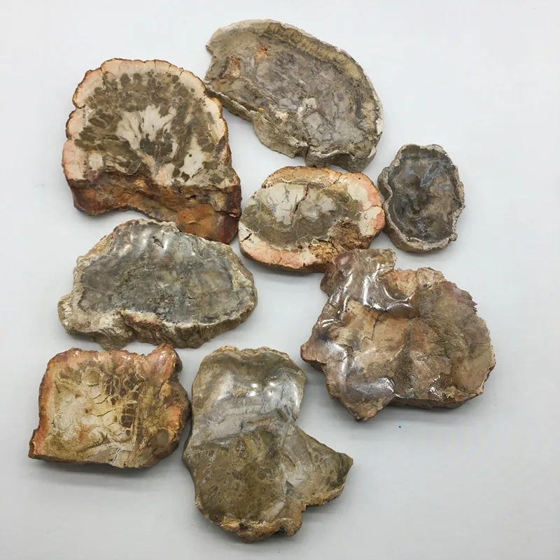 

Натуральное хризолированное дерево, ископаемый оригинальный камень, необработанный камень, кристалл горного хрусталя, минерал, с лечебным ...