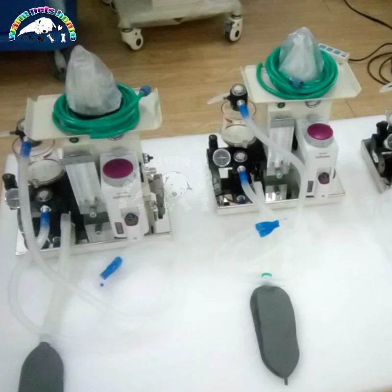 Машина для анестезии животных ветеринарная Портативный собака Кот медицинская