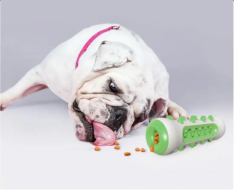 Новая игрушка для собак молярная Удочка в форме кости зубная щетка животных