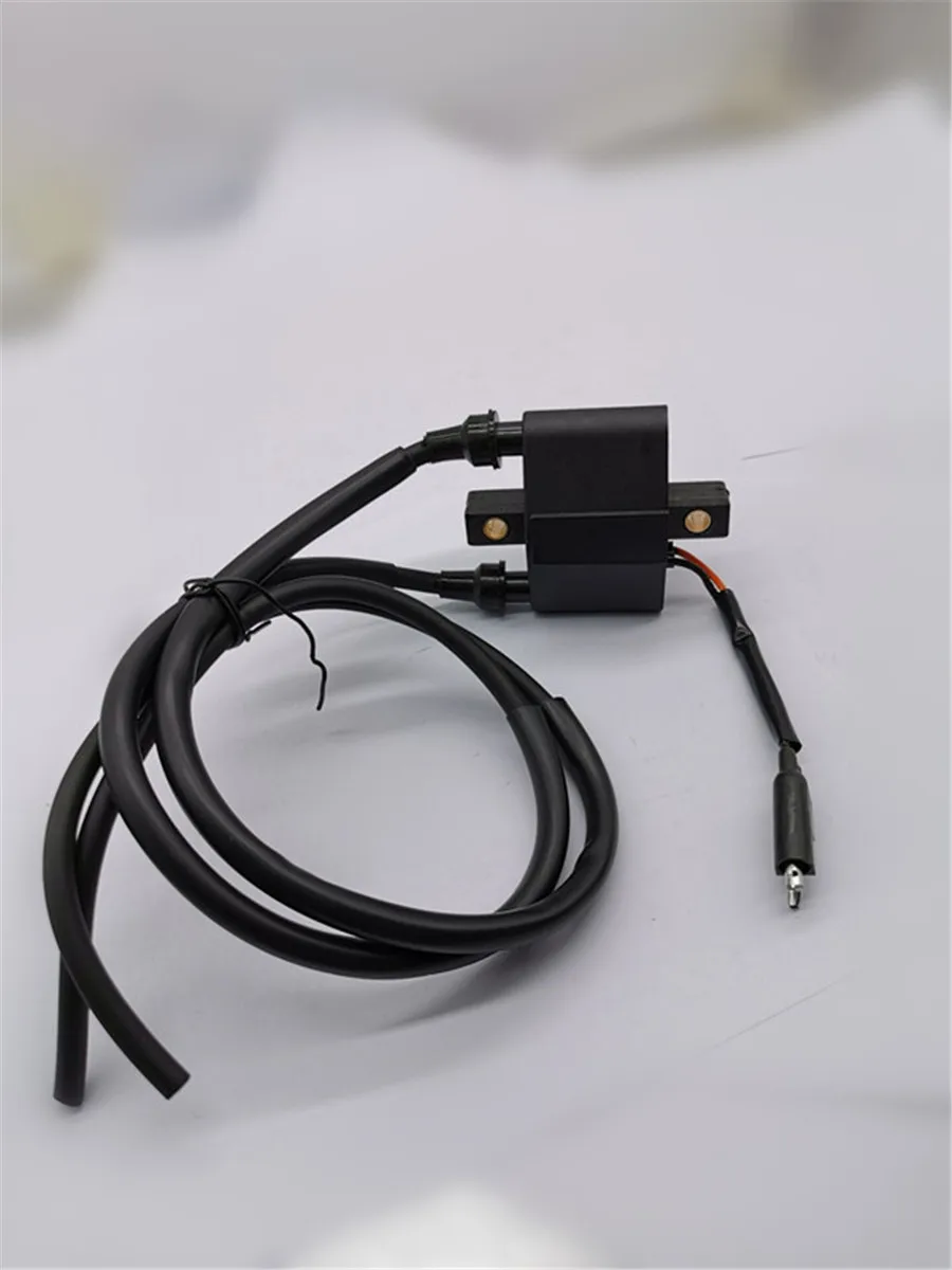 

Ignition Coil Module 4010898 for POLARIS ATV