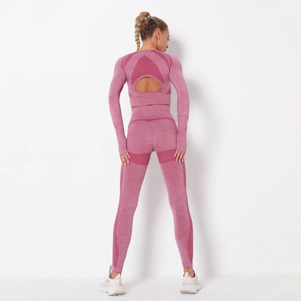 Женский комплект из 2 предметов для фитнеса бесшовный йоги укороченные Леггинсы с длинным рукавом