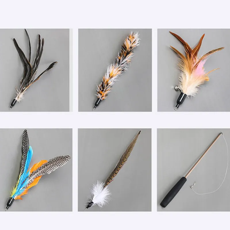 

Interactive Cat Teaser Set Retractable Fishing Pole Wand Toy And 5 Replacement Feather Fish Toy Fish toy for kitten