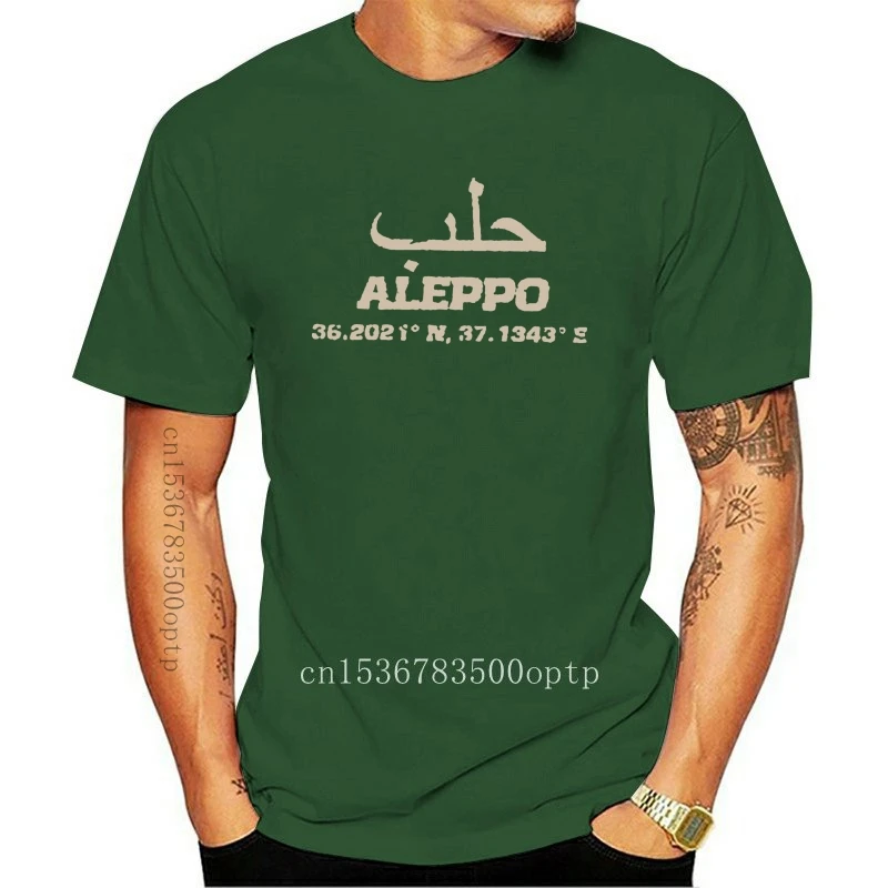 Новинка Мужская футболка из 100% хлопка с круглым вырезом и принтом на заказ ALEPPO в