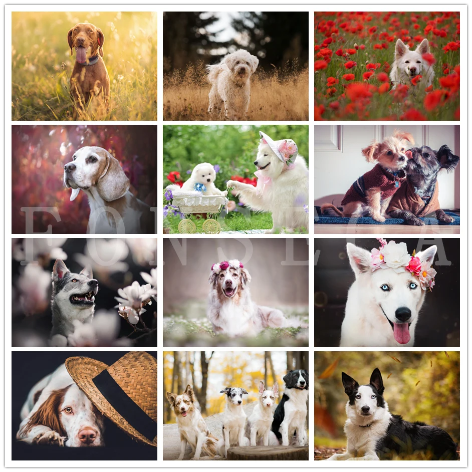 

Full Square/round Drill 5D Diy Cute Dog Diamond Painting Animal Mosaic Painting Embroidery Cross Stitch Kits Home Decoration