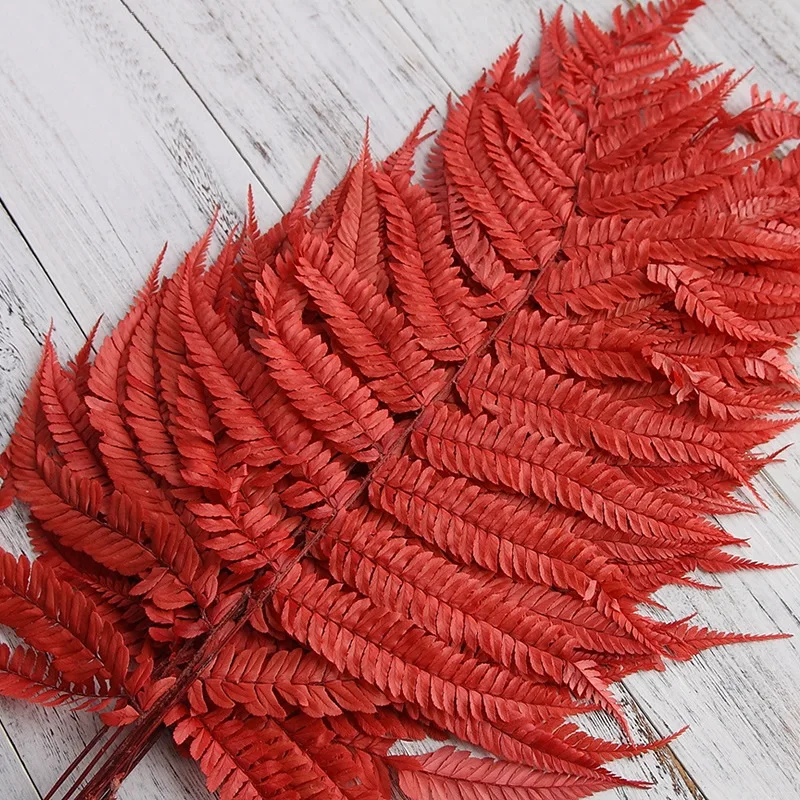 

Grass Green Plants Wall Accessories Wedding Room Home Decor Natural Dried Immortal Eternal Flower Leaf Fern Everlast 10pcs/Lot