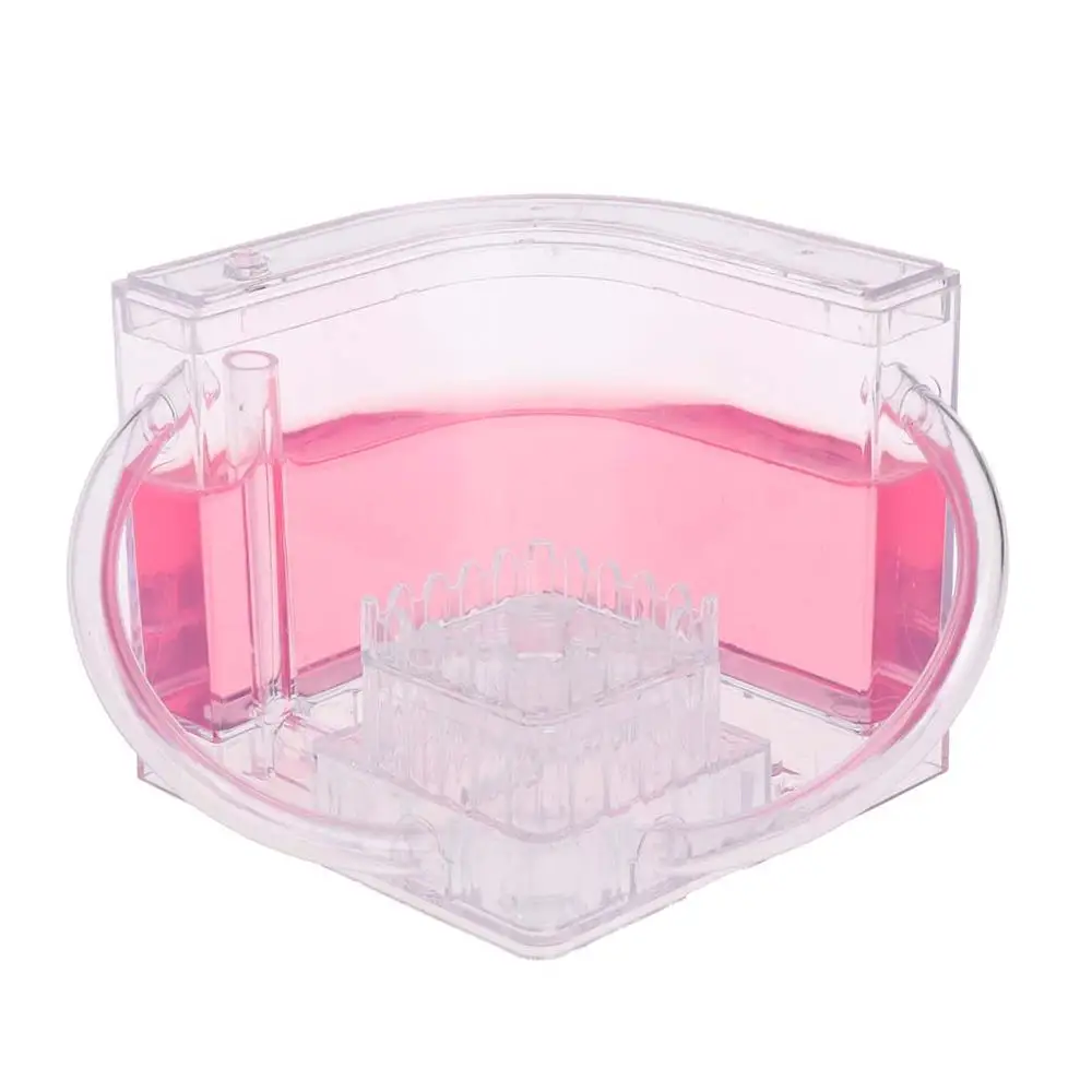 pink 3D муравьиная ферма образовательный лабиринт система живого кормления муравьи среда обитания мира Pet вилла j6pdоптовая и Прямая поставка - Цвет: pink