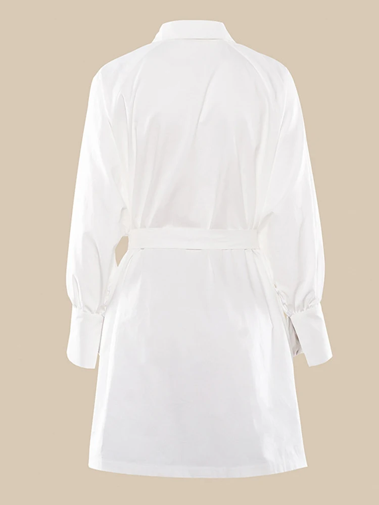 Белое платье рубашка с длинным рукавом 2020 модное осеннее женское Повседневное из