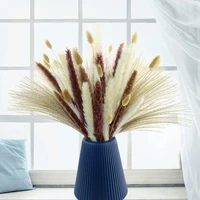 natural dried pampas grass plants 45 cm dried flowers for boho party wedding kitchen yard home decor