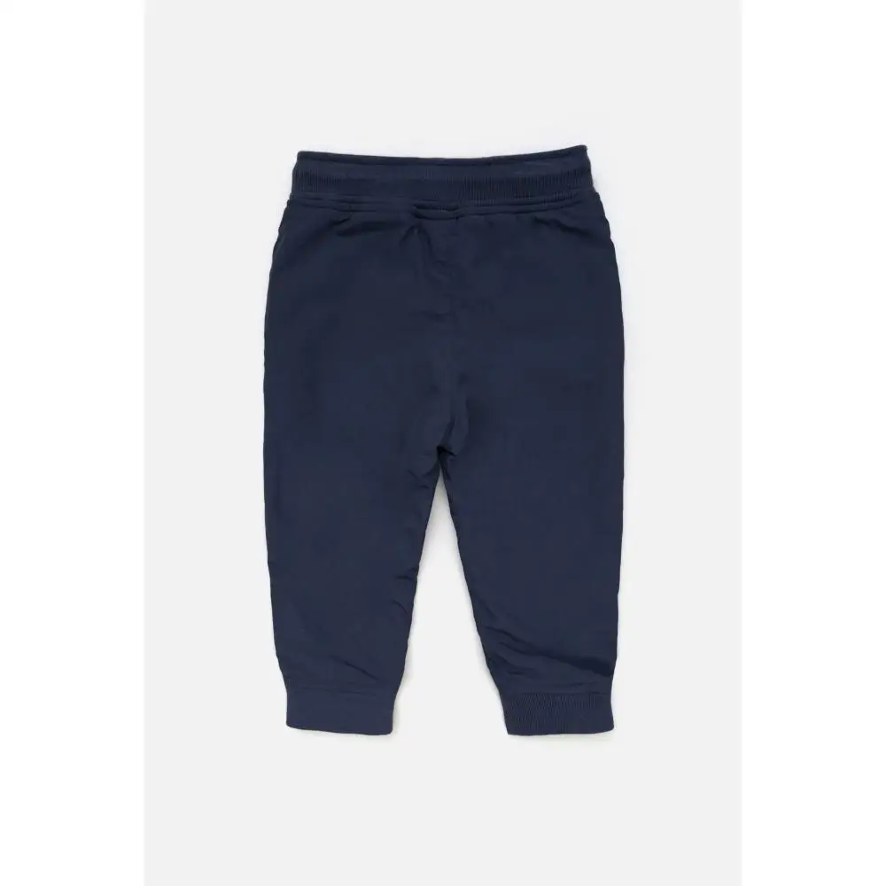 Брюки утепленные для мальчиков Acoola |