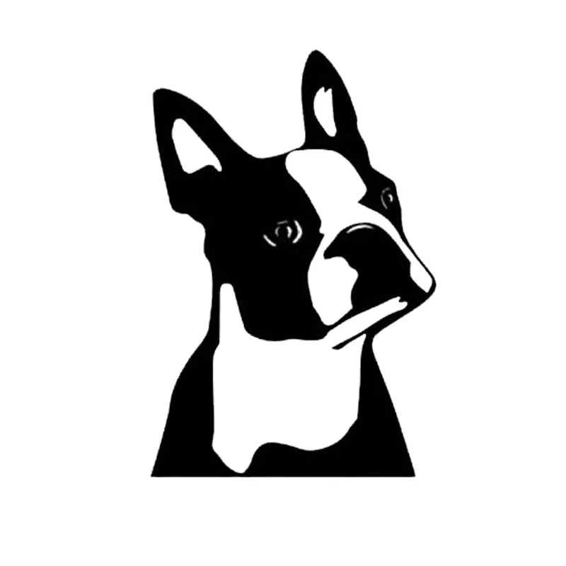 

Personality Cute Boston Terrier Dog Car Stickers Waterproof Sunscreen Decal PVC 12cm X 8cm