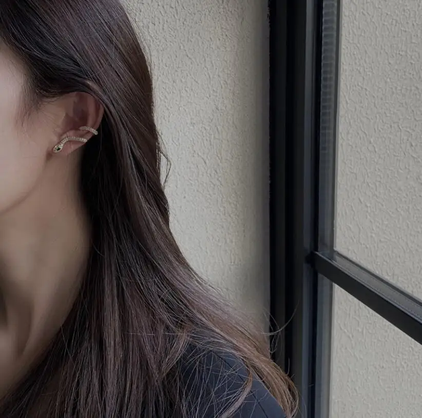 

Snake Drop Earrings for Woman Exquisite and Versatile Gold Color Earrings Jewelry Gift Arrival Ethnic Crystal Fashion Trendy