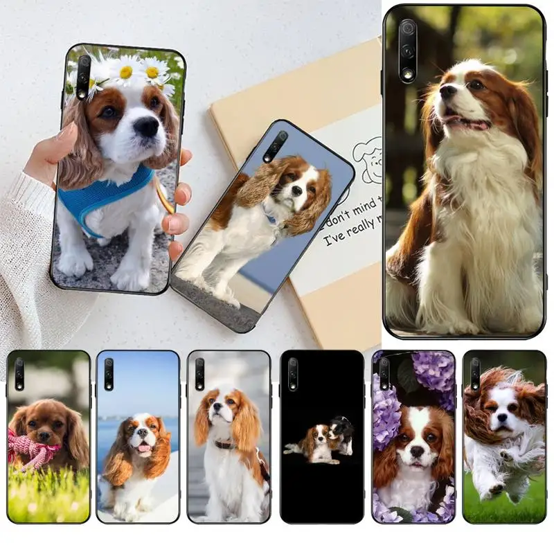Чехол кавалер Кинг чарльз спаниель черный мягкий чехол для телефона Huawei Honor 30 20 10 9
