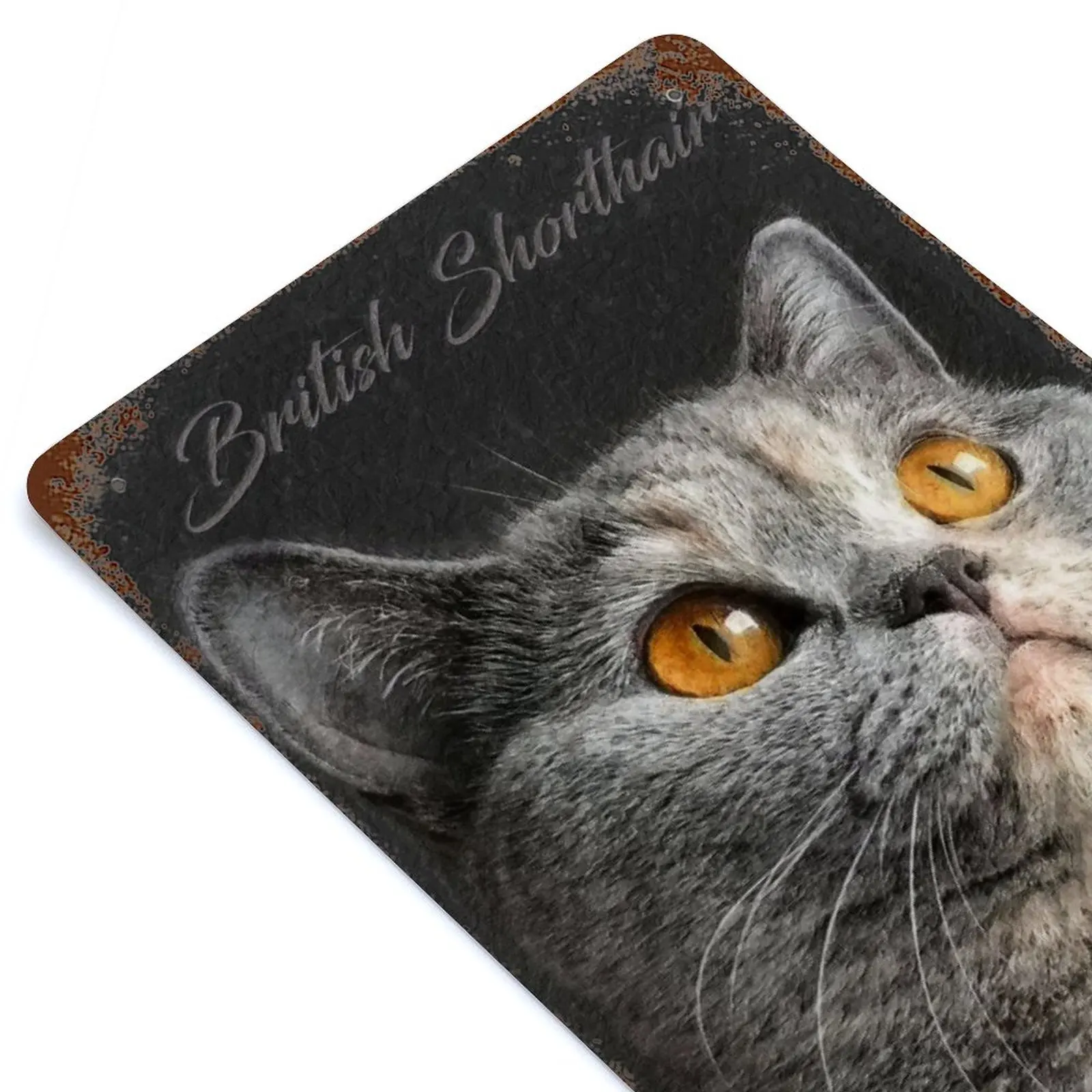 

British Shorthair Cat Printed Retro Metal Poster Home Wall Decoration Tin Sign Plaque