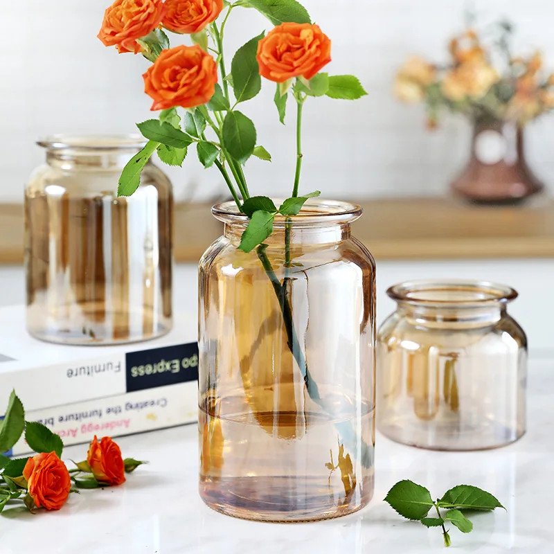 Стеклянная ваза цветная прозрачная красочная гидропонная богатая бамбуковая