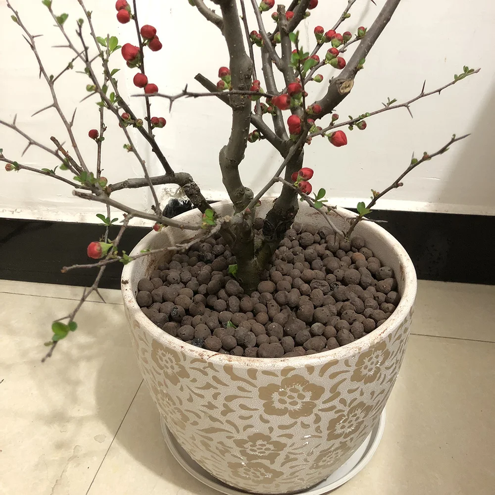 100 г/упаковка керамическая гидропонная почва с отрицательными ионами | Дом и сад