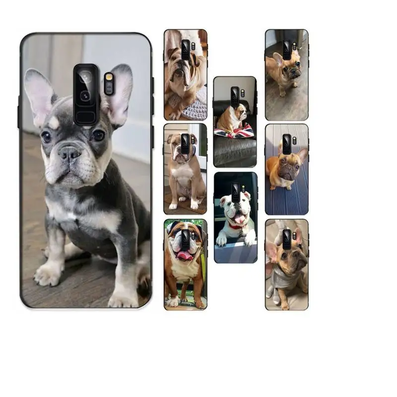 Питбуль прекрасная собака защитный чехол для телефона задней панели мобильного