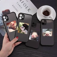 phone case for iphone 12 11 mini pro xr xs max 7 8 plus x cute little pink pet pig matte transparent cover