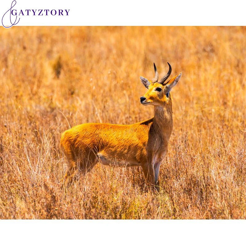 

GATYZTORY 60x75cm Acrylic Painting By Numbers Antelope DIY Paint By Numbers On Canvas Handpaint Animals Frameless Home Decor