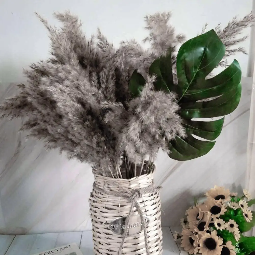 3Pcs/Set Natural Dried Flower Pampas Grass Gray Reed Home Decoration Wedding Layout Corner Shop Display Window Accessories - купить по