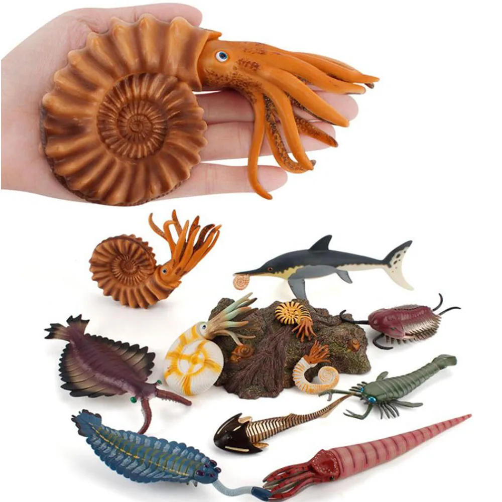 

Новинка! Старинные морским обитателям, модель для девочек и мальчиков Игрушки Nautilus опабиния аномалокарис автомобиль украшения детские игр...