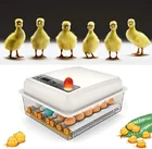 16 яиц, автоматический инкубатор светодиодный ным подсвечником, контроль температуры, инкубатор для инкубации, инкубатор для индейки, утки, гуся