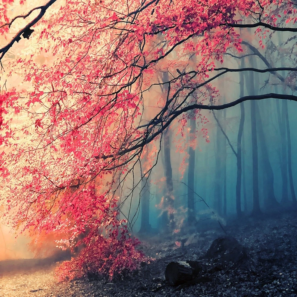 Полный Сакура 5D DIY алмазная живопись круглые стразы вышивка цветок крестиком