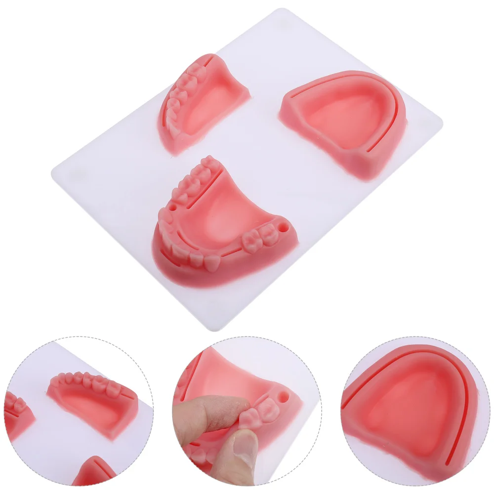 

1 Set Suture Training Model Gum Suture Teaching Tool Silicone Oral Model