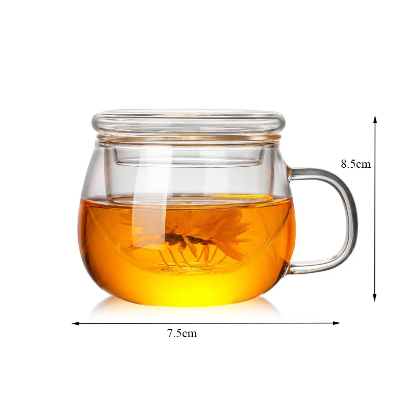 

Office Heat-Resistant Glass Tea Coffee Mug with Lid and Infuser Transparent High Borosilicate Glass Filter Teacup Water Bottle
