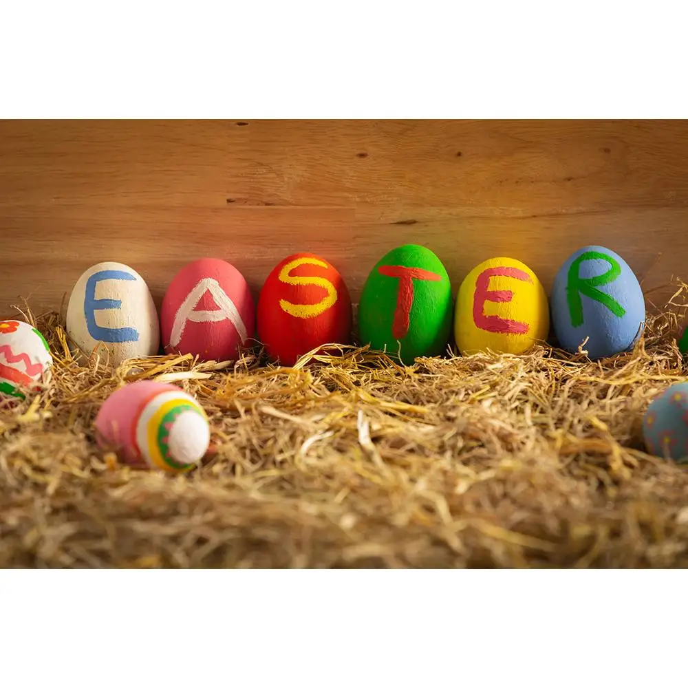 

ZHISUXI Vinyl Custom Photography Backdrops scenery Theme Photography Background 190117SK-04