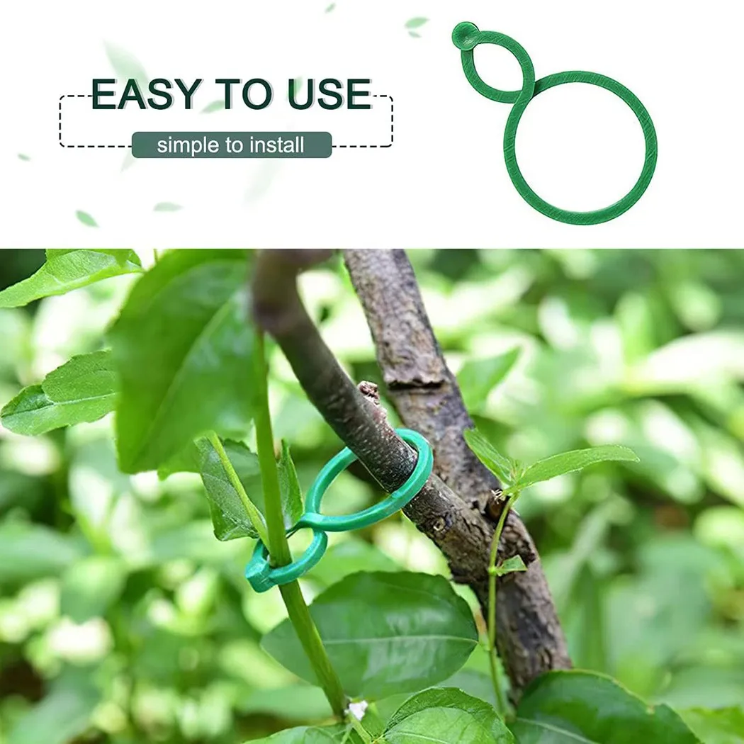 Зажимы для ягод зажимы соединитель цветов сада растений на открытом воздухе
