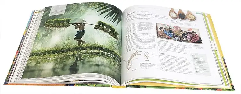 

Original Children Popular Science Books DK The Story of Food An Illustrated History of Everything We Eat