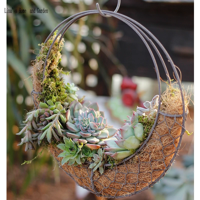 Креативный винтажный металлический плантатор с лунным дизайном для улицы | Дом и