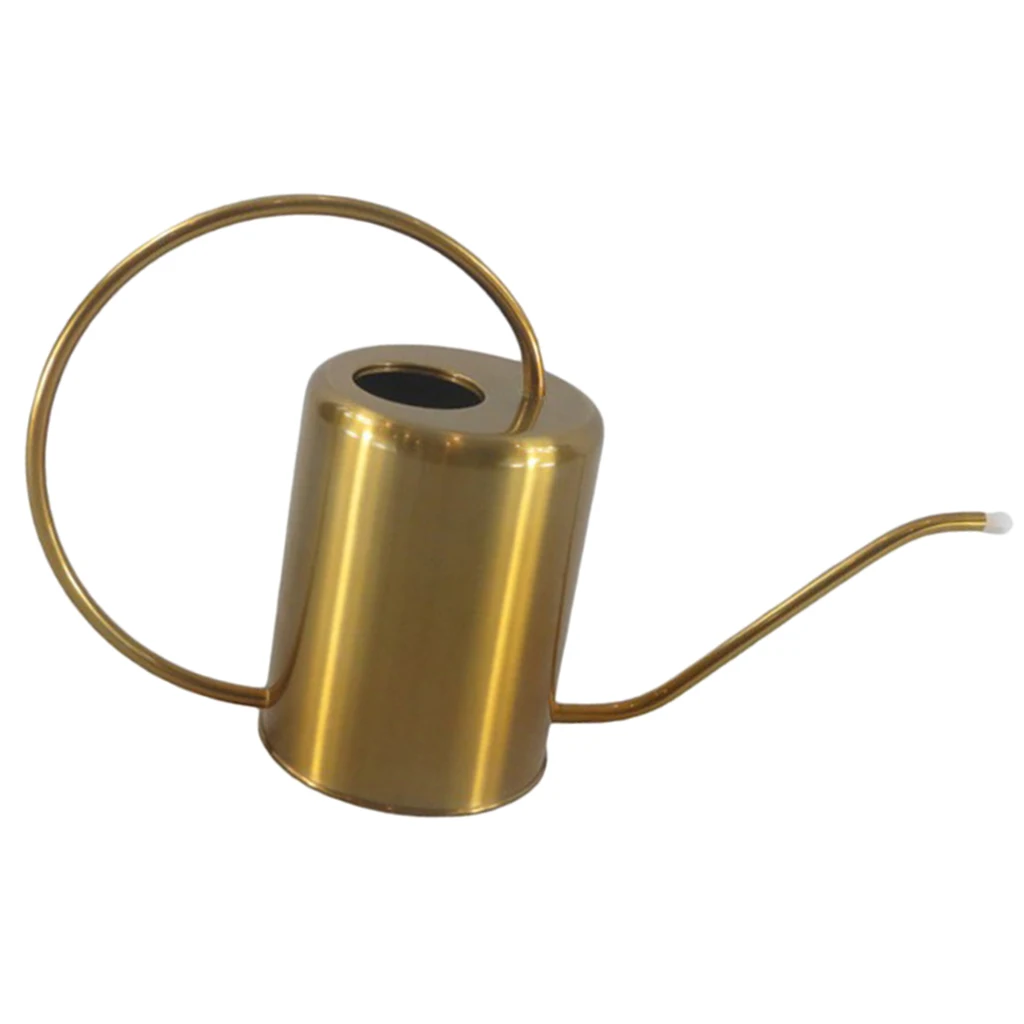 

Long Spout Watering Can Retro for House Plants Stainless Watering Pot 2.0L