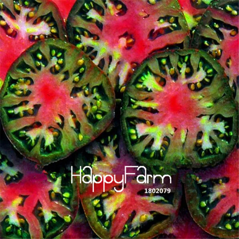 New Fresh 20 Pcs/Lot Rainbow Tomato Plants, bonsai organic vegetable& fruit Plantas,potted plant for home&garden
