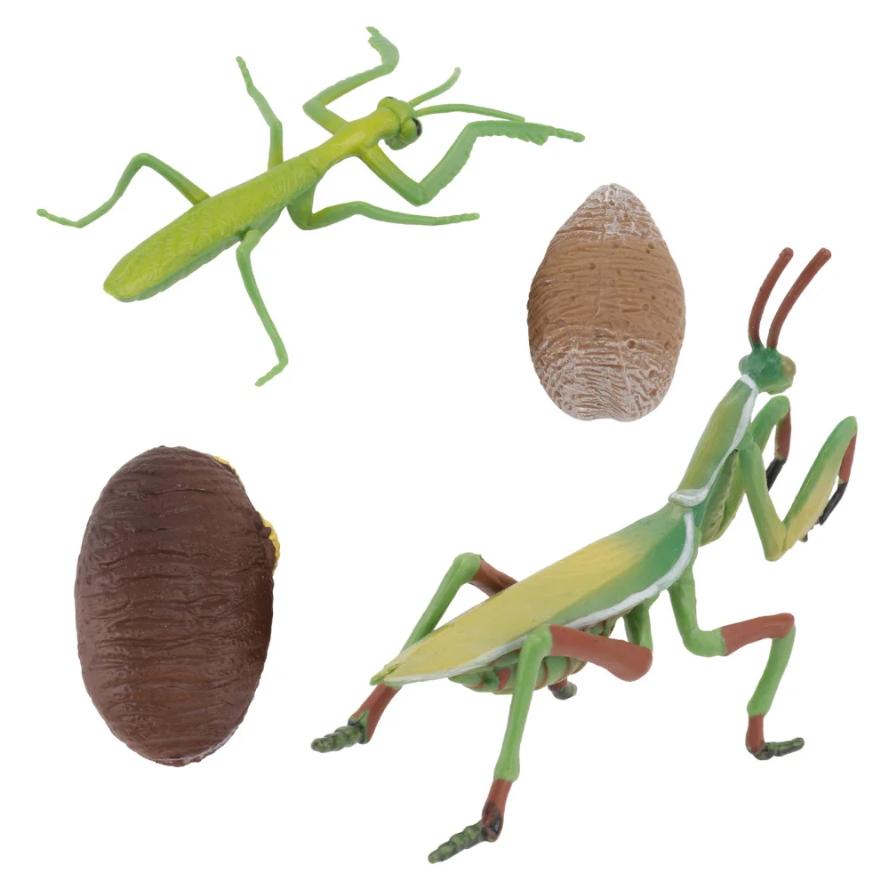 

1 Set Simulated Grasshopper Manties Simulated Animal Model (Assorted Color)