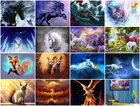 Алмазная 5D картина с фантазией, вышивка с изображением животных, Льва, лошади, единорога, тигра, волка, медведя, мозаика, ручная работа, подарок