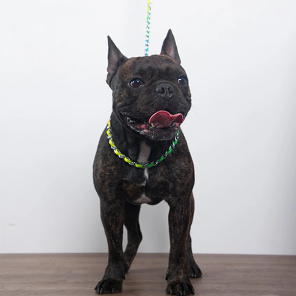 

Colorful Nylon Dog Harness Leash Pet Training Running Walking Safety Mountain Climb Pet Walking Dog Lead Leash Pet Products
